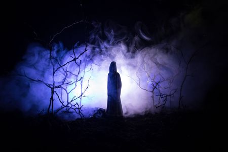 Leeuwarden: Ghostly Echoes & Nightly Spirits Audio Tour — صورة 2