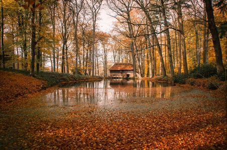 Arnhem: Netherlands Open Air Museum Ticket & Audio Tour — صورة 2