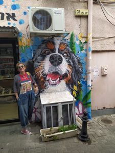 Shuk Ha-Carmel and Kerem Taymanim — صورة 2