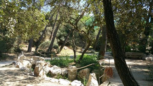 Barben Animal Park: Entry Ticket — صورة 2