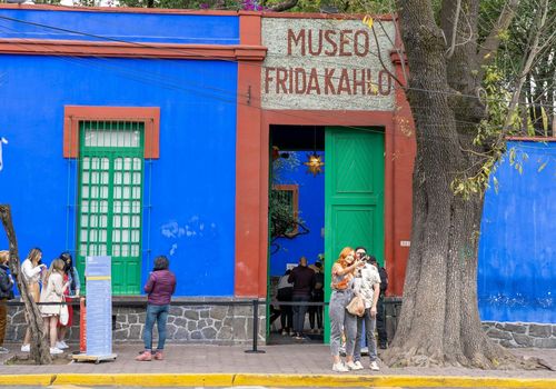Frida Kahlo & Anahuacalli Museum: Entry Ticket