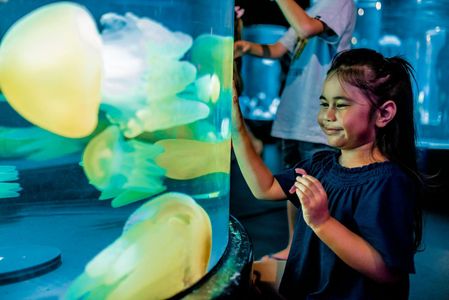 أكواريوم سيدني SEA LIFE: رحلة إلى عالم المحيطات — صورة 2