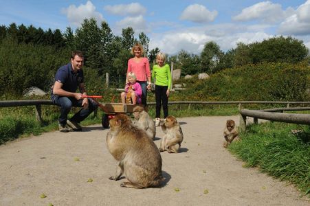 Givskud Zoo - Zootopia: Entry Ticket — صورة 2
