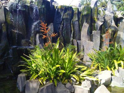 Palmetum of Santa Cruz de Tenerife: Entry Ticket — صورة 2