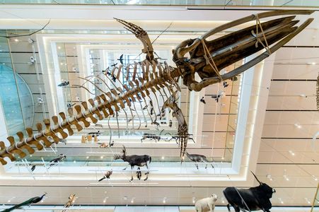 MUSE - Museum of Science: Entry Ticket — صورة 2