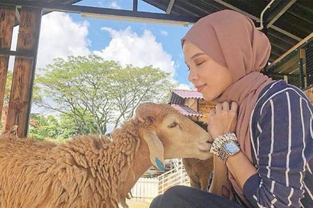 حديقة جي تو جي للحيوانات: تذكرة الدخول — صورة 2