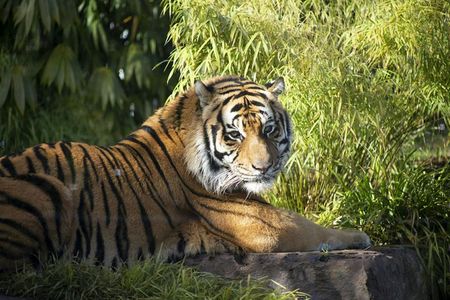 Ballarat Wildlife Park: Entry Ticket — صورة 2
