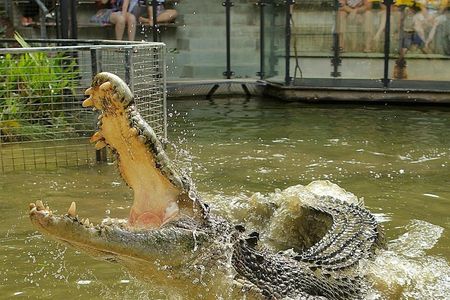 Hartley's Crocodile Adventures: Entry Ticket — صورة 2