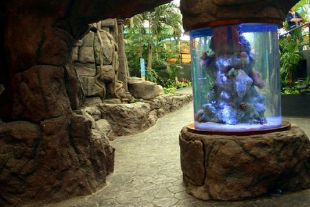 Underwater World Pattaya: Entry Ticket — صورة 2