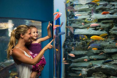 Interactive Aquarium Cancún: Entry Ticket — صورة 2