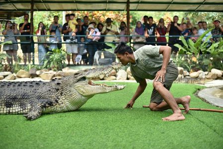 Crocodile Adventureland Langkawi: Entry Ticket — صورة 2