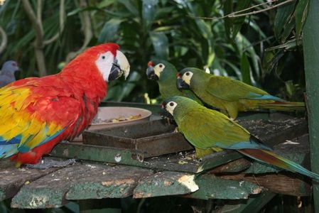 World of Birds Wildlife Sanctuary & Monkey Park: Entry Ticket — صورة 2