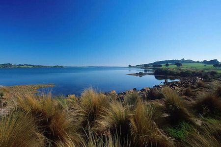 Phillip Island: Churchill Island Entry Ticket — صورة 2