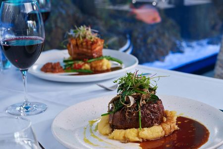 Cairns Aquarium: Night Entry + 2-Course Dinner — صورة 2