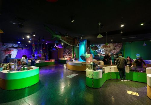 Inbursa Aquarium in Mexico City: Entrance Ticket