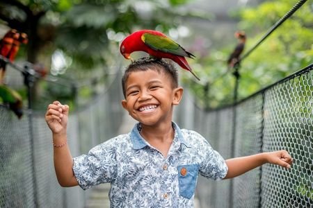 Bali Bird Park: Entry Ticket — صورة 2