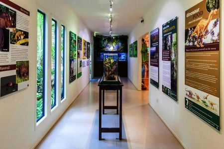 Tamborine Rainforest Skywalk: Entry Ticket — صورة 2