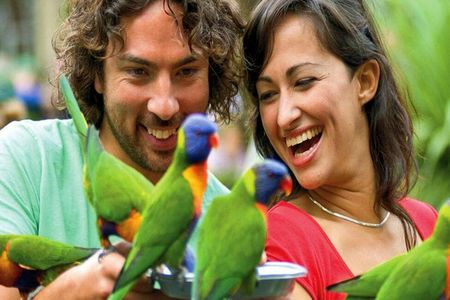 Currumbin Wildlife Sanctuary and TreeTop Challenge: Combo Ticket — صورة 2