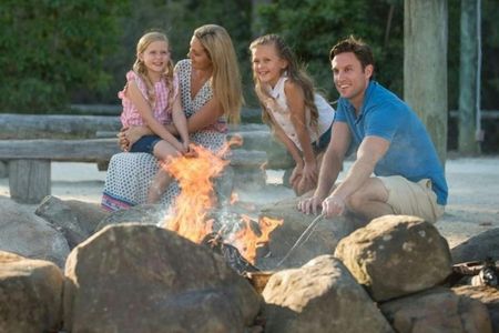 Paradise Country: Entry Ticket + Koala Breakfast — صورة 2