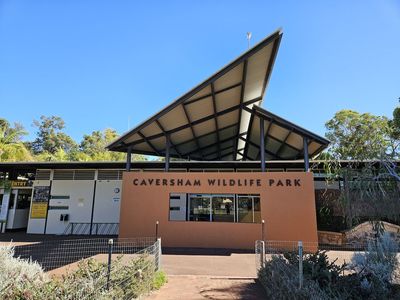 Sydney: Self-Guided Audio Walk Through an Eclectic Local Strip — صورة 4