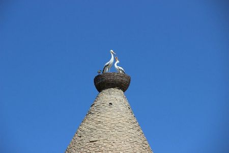 Bukhara: Self-Guided Audio Walk Through the Silk Road Heart — صورة 4
