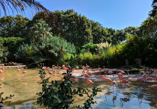 Barcelona: Zoo Skip The Line Ticket & Self-Guided City Walk