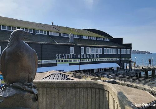 Seattle: Aquarium Entry Ticket & Downtown Landmarks Audio Tour