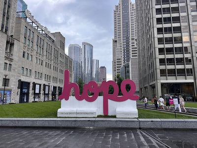 Chicago: Self-Guided Audio Walk Through the Lakefront and Loop — صورة 4