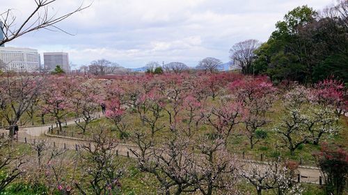 Osaka: Historic Highlights Audio Tour — صورة 2