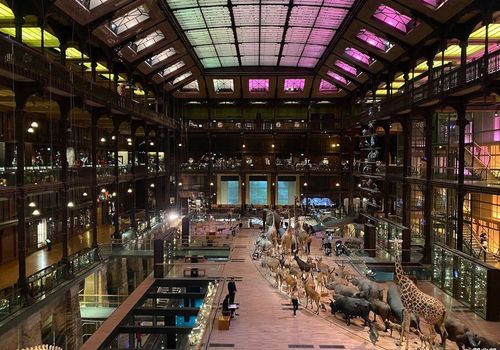 Paris: A Stroll Through Time with the Grande Galerie Ticket
