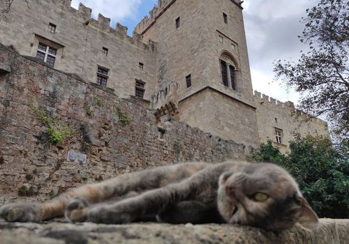 Medieval Town of Rhodes: Audio Tour of the Old Town