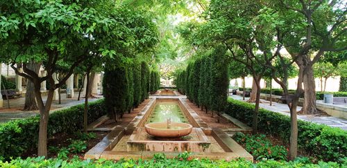 Palma: Cathedral Ticket and an Audio Guide with a City Walk — صورة 4