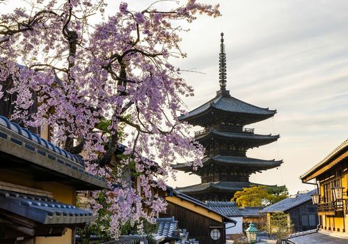 Kyoto: Historic Cherry Blossom Audio Tour