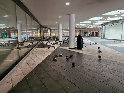 Stockholm's Pulse: Historic Core Audio Tour — صورة 2