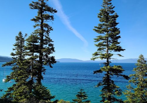 Rubicon Trail