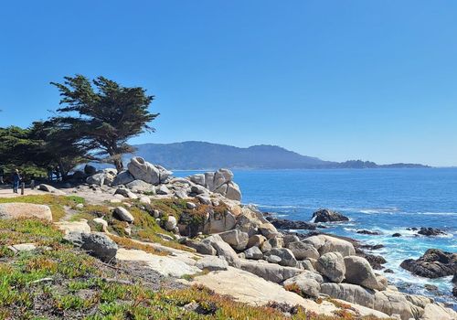 Pescadero Point