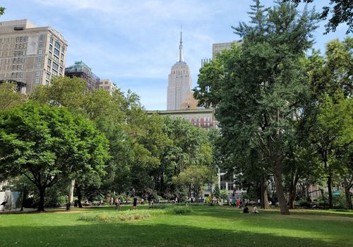 Madison Square ...