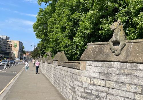 Animal Wall