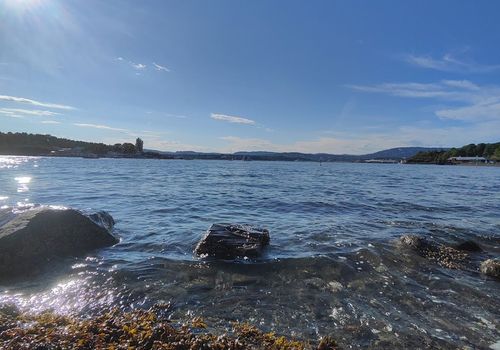 Hovedøya kloster