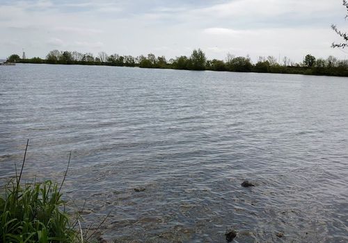  Ballyro...
