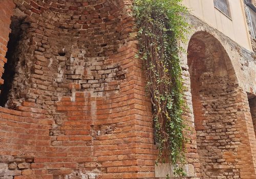 Naumachia di Taor...