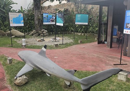 Memorial do Paço...