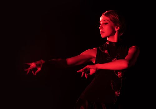 Flamenco Dance M...