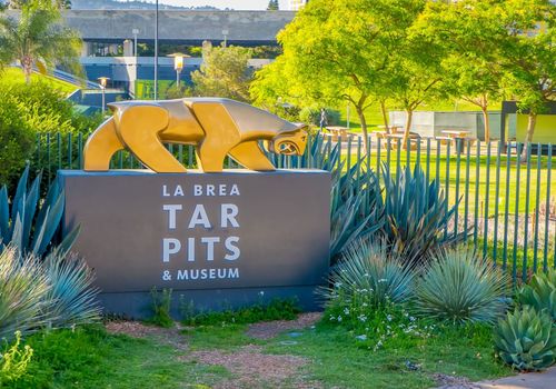 La Brea Tar Pit...