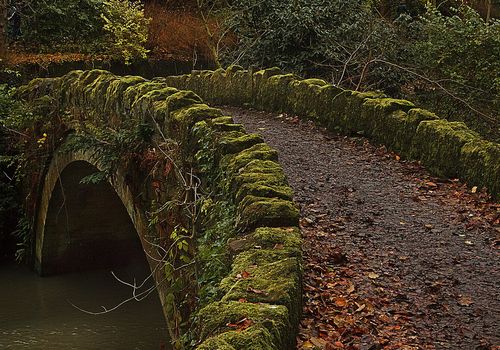 Jesmond Dene