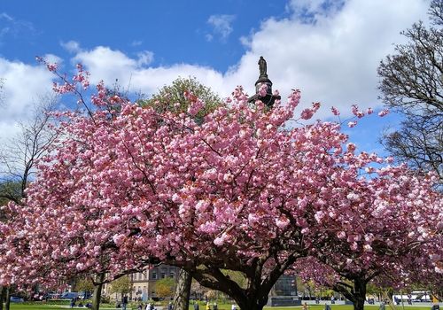 Melville Monument