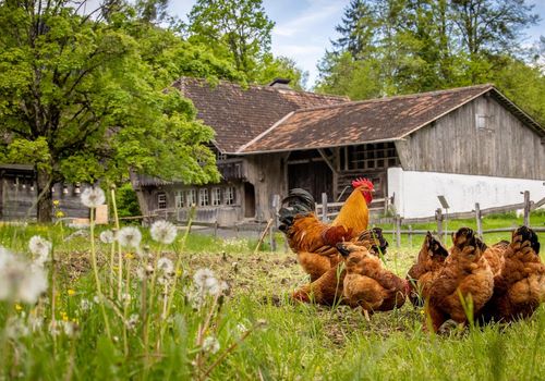 Open-Air Museum ...