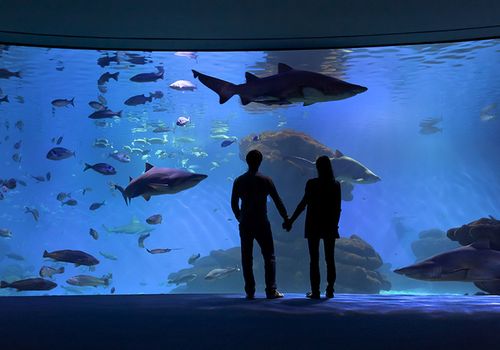 Palma Aquarium