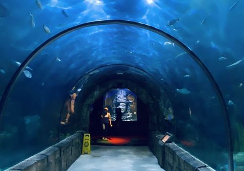 Audubon Aquarium