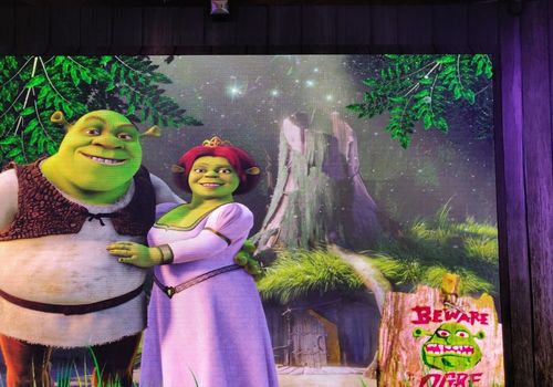 Shrek's Adventu...